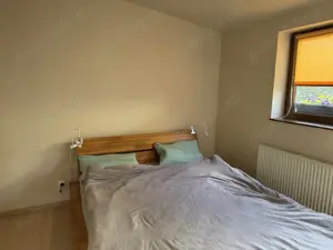 Vand schimb  apartament duplex ( Tineretului Apartamentul e pozitiona-Timpuri Noi , terasa, gradina) - imagine 11 Vand schimb  apartament duplex ( Tineretului Apartamentul e pozitiona-Timpuri Noi , terasa, gradina) - imagine 11