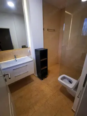 Vila 4 camere, de vanzare, Zona Bucium - Hanul 3 Sarmale - imagine 8