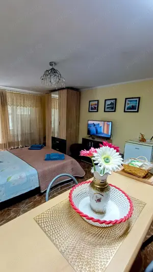 Cazare în baile govora-valcea - imagine 5