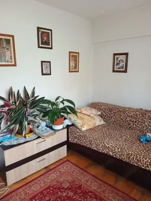 Ap.3 camere, la parter Deva - imagine 4