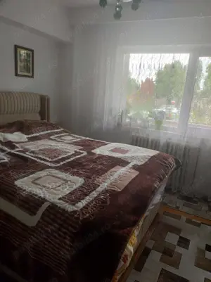 Ap.3 camere, la parter Deva - imagine 6