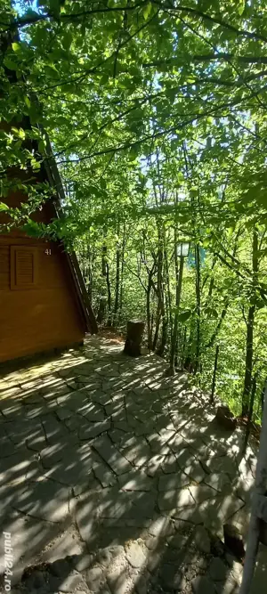 Cabană Firiza  - imagine 2