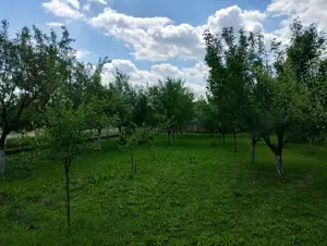 Vând teren intravilan