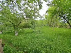 Teren 1000mp de vanzare in Comarnic, zona Ghiosesti - imagine 3