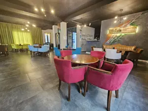 Vand scaune restaurant cafenea moderne din catifea