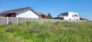 Săcălaz, teren suprafață 718 mp, front stradal 18 metri, preț 89 euro mp