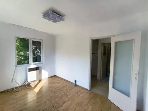 Apartament 1 Camera 7 Noiembrie UMF zona foarte linistita - imagine 3