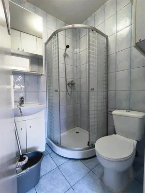 Apartament 1 Camera 7 Noiembrie UMF zona foarte linistita - imagine 6