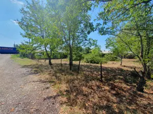 Teren intravilan Mitică Apostol - imagine 2