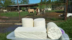 Branza, lapte, ieduți, capre si tap