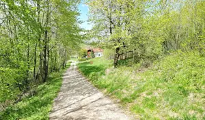 Teren intravilan Bran- Predelut - imagine 6