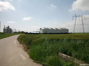 hala cu teren de vanzare