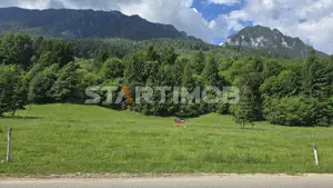 Teren intravilan Zarnesti Plaiul Foii - imagine 10