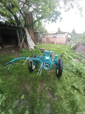 cositoare Bertolini  - imagine 2