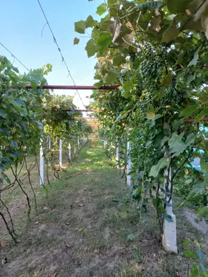 Casa de vanzare Motru - imagine 5