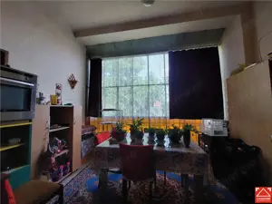 OCAZIE! Apartament spatios, singur pe nivel, zona Metianu! - imagine 11
