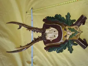  Panoplie trofeu vanatoresc caprior sculptata manual, anul 1958 - imagine 5