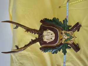  Panoplie trofeu vanatoresc caprior sculptata manual, anul 1958