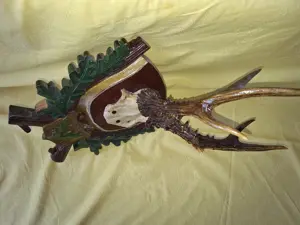  Panoplie trofeu vanatoresc caprior sculptata manual, anul 1958 - imagine 3