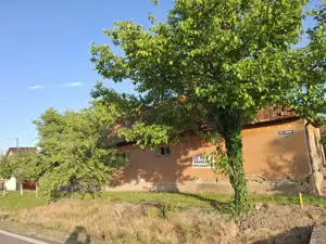 Casa pentru demolare/renovare in Nadlac cu teren 616mp - imagine 5