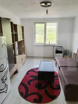 Garsoniera/camera camin, de vanzare, 20,5 mp, zona Liceu Elie Radu