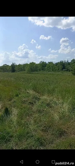 Teren extravilan Craiova Cernele - imagine 4