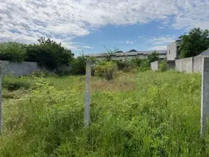 Teren Ghencea- Dantelei- Darvari.