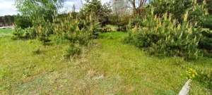 Teren in zona lacului Reci - imagine 10