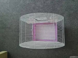 Colivie pasari - imagine 2