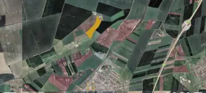 Teren agricol 12,28 ha Sagu – acces DN69  A1, acum 1,38 €/m - imagine 2