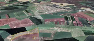 Teren agricol 12,28 ha Sagu – acces DN69  A1, acum 1,38 €/m - imagine 3