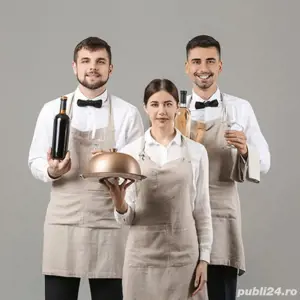 Angajăm Barman  Ospătar - Drobeta-Turnu Severin