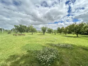 Casa P+M ideala pentru 2 familii – aproape de Techirghiol/Eforie - imagine 5