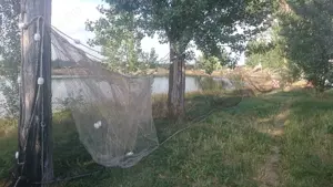 Concesiune baltă pescuit 20 ha   30 ani   cabană 100 mp   Teleorman - imagine 5
