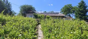 Casa de vannzare - imagine 4