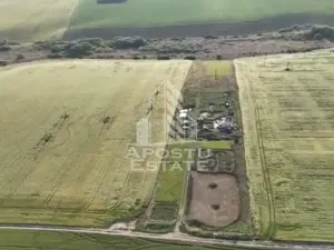 Farmhouse la 14km de Timisoara, teren agricol 1ha - imagine 5