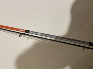 Lansete de pescuit la răpitor știucă biban clean