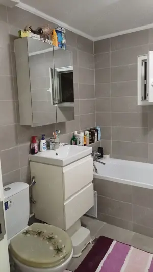 Apartament cu 3 cam, conf 1, parter inalt - caransebes - imagine 6