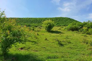 Teren extravilan superb în satul Ciumăfaia, comuna Borșa, Cluj. - imagine 3