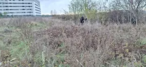 Teren Intravilan Oras Bragadiru - imagine 6