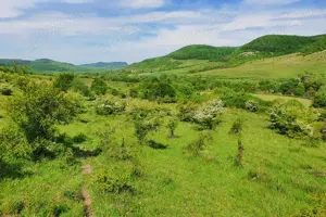 Teren extravilan superb în satul Ciumăfaia, comuna Borșa, Cluj. - imagine 2