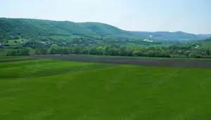 Teren extravilan superb în satul Ciumăfaia, comuna Borșa, Cluj. - imagine 7