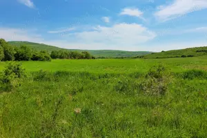 Teren extravilan ieftin de vânzare în comuna Borșa-Cluj. - imagine 2