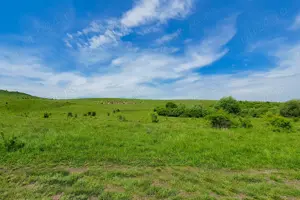Teren extravilan ieftin de vânzare în comuna Borșa-Cluj.