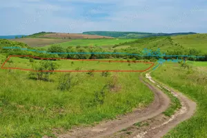 Teren extravilan ieftin de vânzare în comuna Borșa-Cluj. - imagine 3