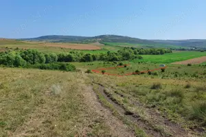 Teren extravilan ieftin de vânzare în comuna Borșa-Cluj. - imagine 4