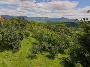 Vând teren intravilan  - imagine 10