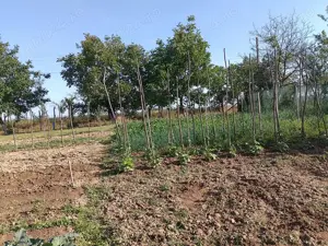 Vând teren intravilan  - imagine 13