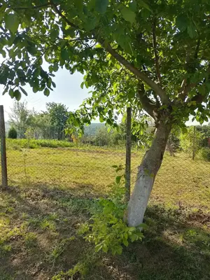 Vând teren intravilan  - imagine 12