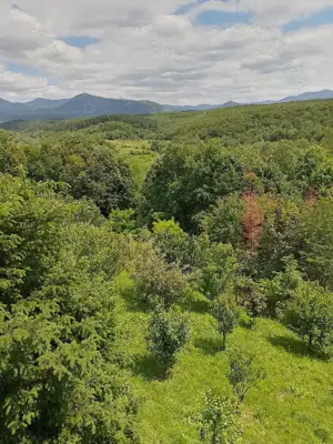 Vând teren intravilan  - imagine 8